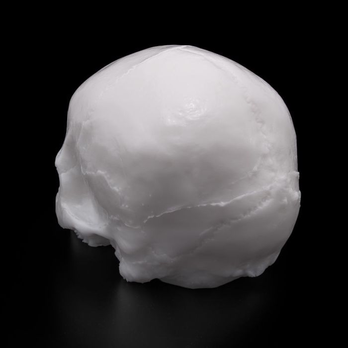 A Pound Of Flesh Synthetic Yorick Skull