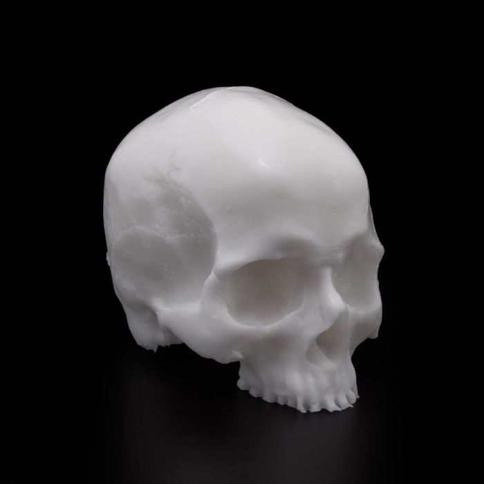 A Pound Of Flesh Synthetic Yorick Skull